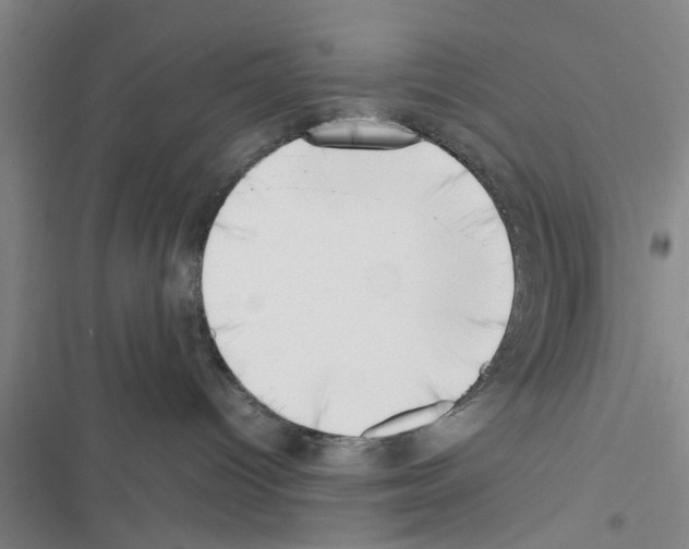 X0000116420096201001191459