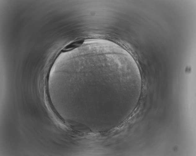 X0000116420097201001191458
