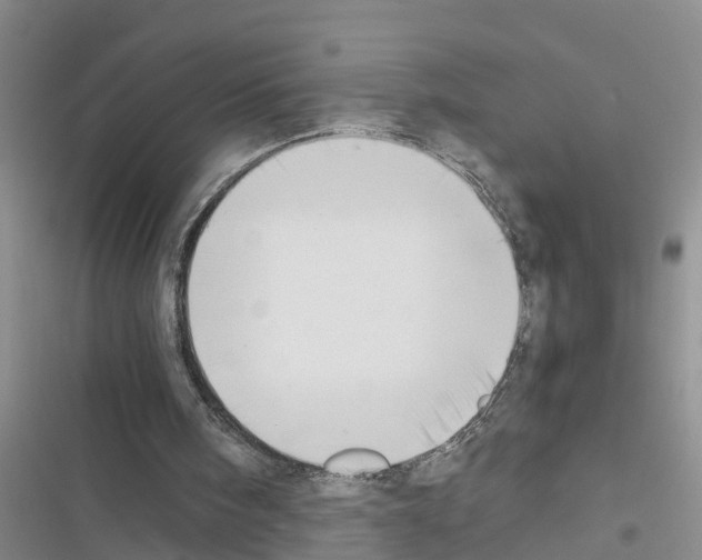 X0000116420098201001191458