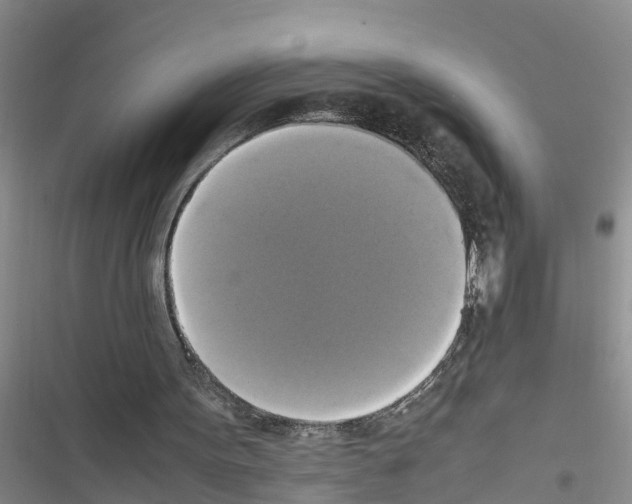 X0000116420099201001191458