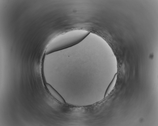 X0000116420100201001191458