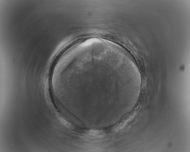 X0000116420101201001191458