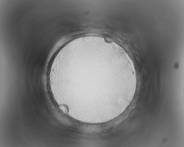 X0000116420102201001191458