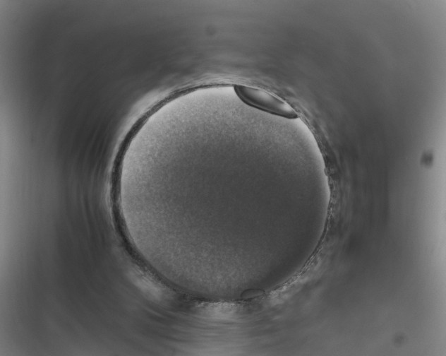 X0000116420104201001191458