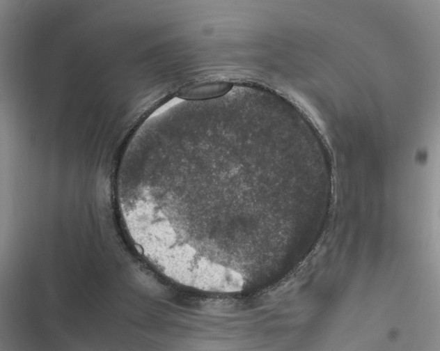 X0000116420105201001191458