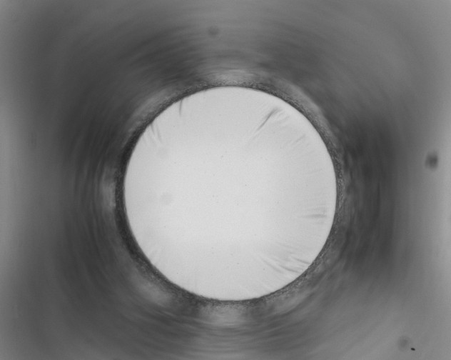 X0000116420106201001191458