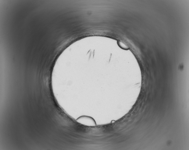 X0000116420107201001191458