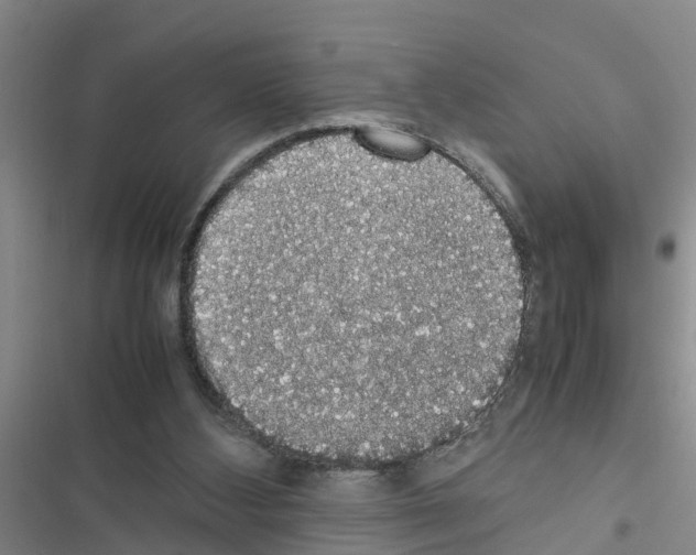 X0000116420108201001191458