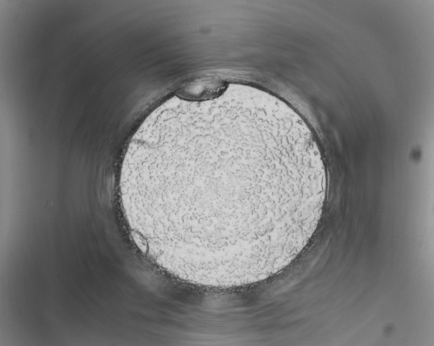 X0000116420109201001191458