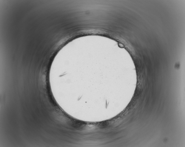 X0000116420111201001191458