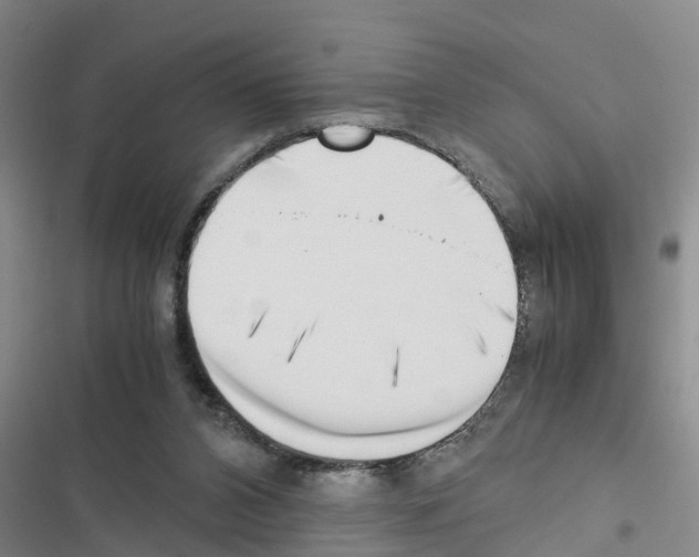 X0000116420112201001191458