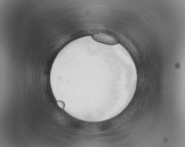 X0000116420113201001191458