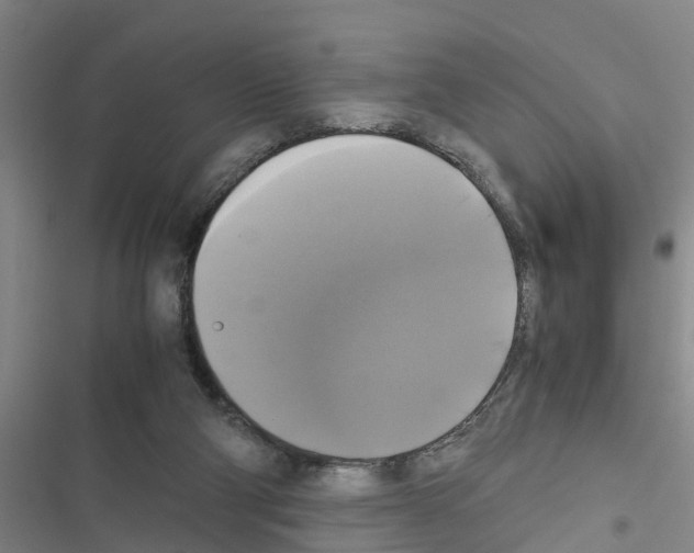 X0000116420114201001191458