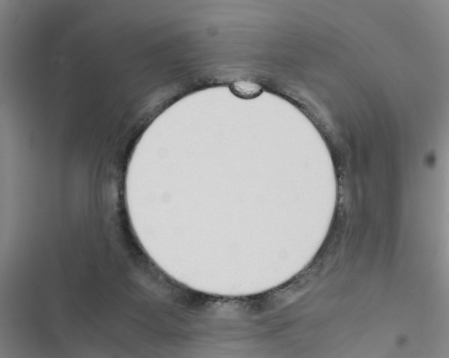 X0000116420115201001191458