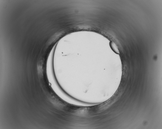 X0000116420116201001191458