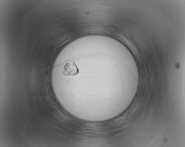 X0000116420117201001191458