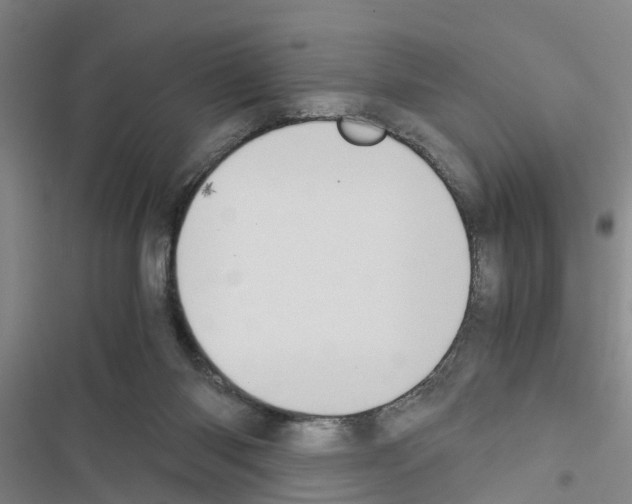 X0000116420118201001191458