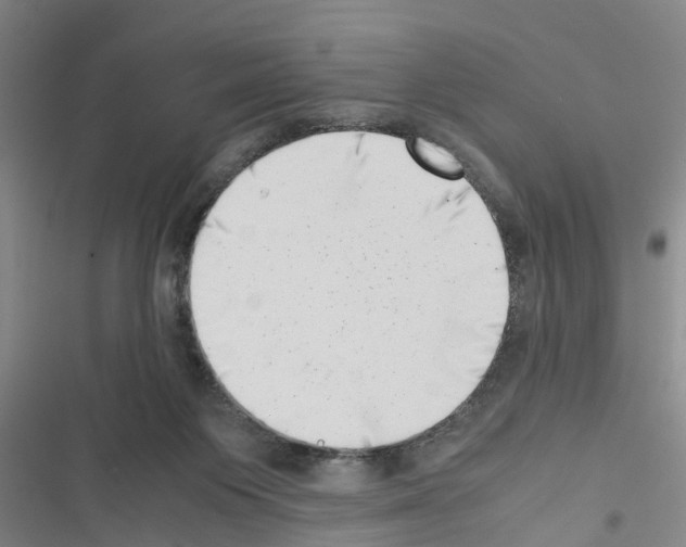 X0000116420119201001191458