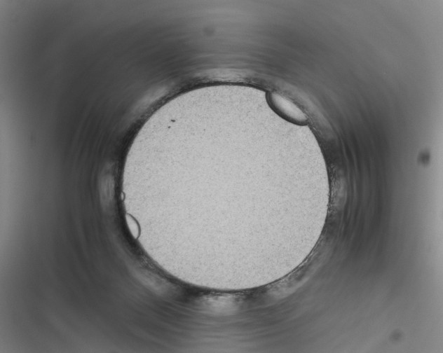 X0000116420120201001191458