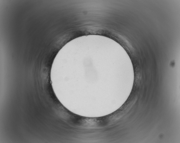X0000116420121201001191458