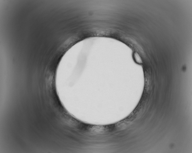 X0000116420123201001191458