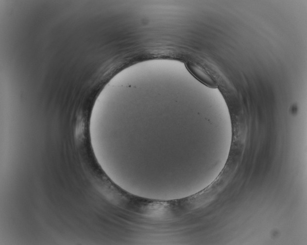 X0000116420124201001191458