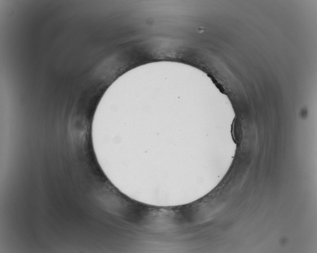 X0000116420125201001191458