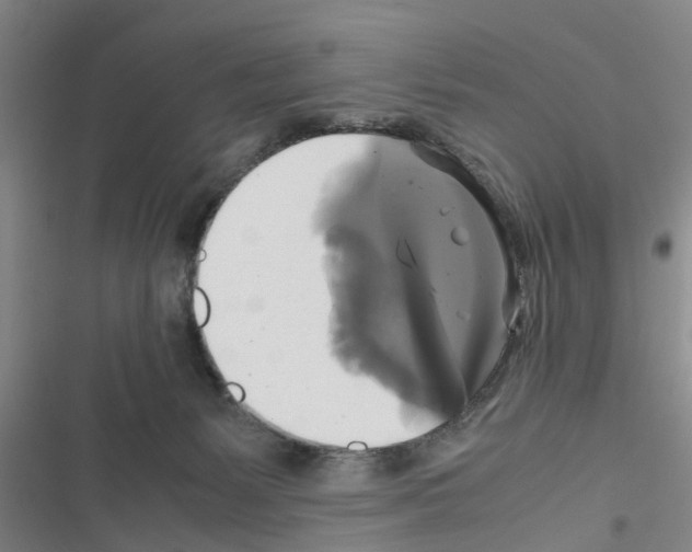 X0000116420127201001191458