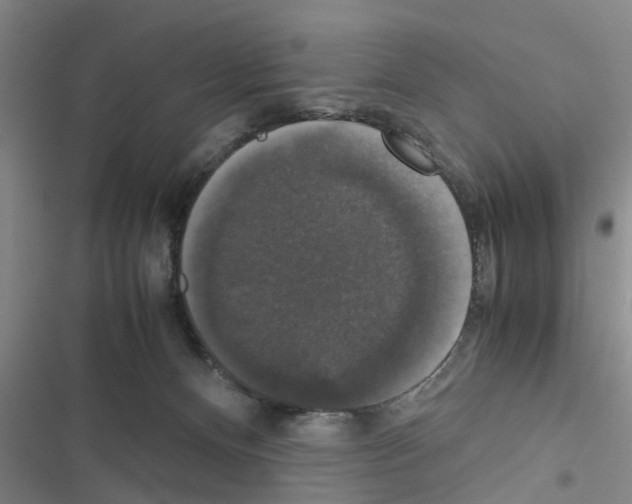 X0000116420128201001191458