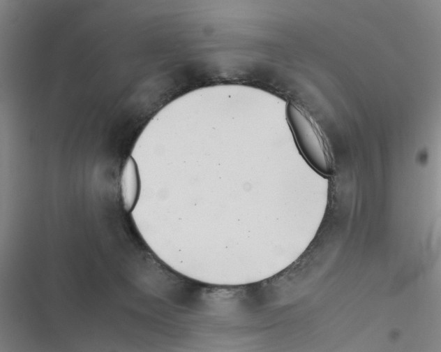 X0000116420129201001191458