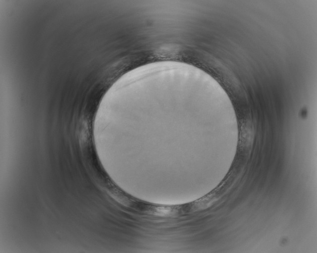 X0000116420130201001191458