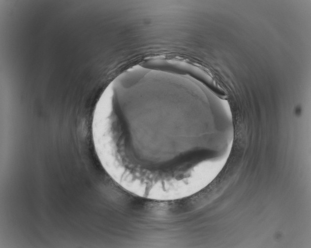 X0000116420131201001191458