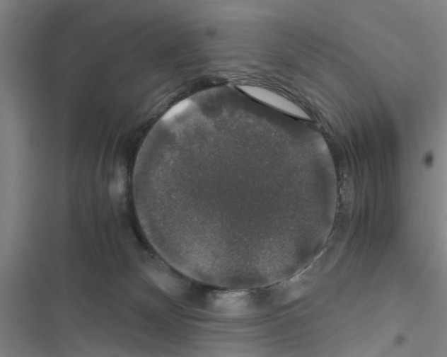 X0000116420132201001191458