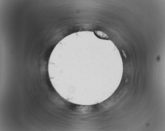 X0000116420135201001191458