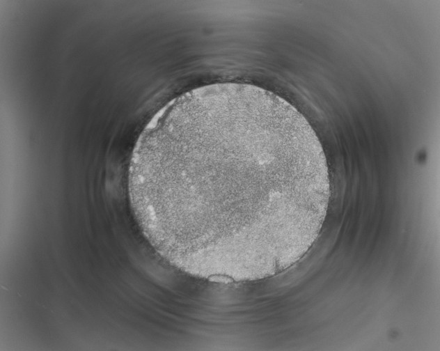 X0000116420136201001191458