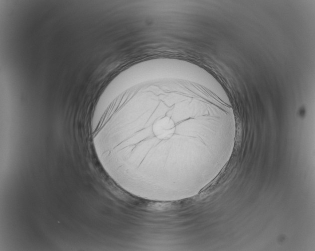 X0000116420137201001191458
