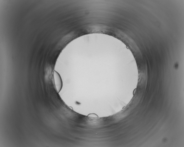 X0000116420142201001191458
