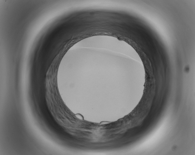 X0000116420143201001191458