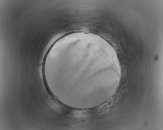 X0000116420147201001191457