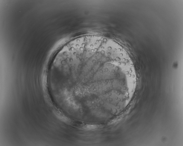X0000116420149201001191457