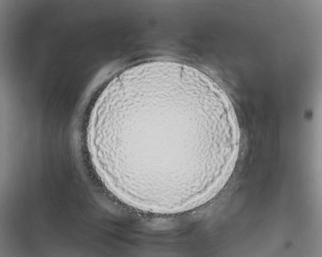 X0000116420151201001191457