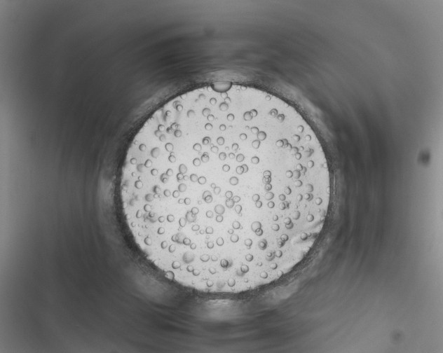 X0000116420153201001191457