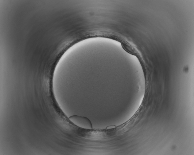 X0000116420154201001191457