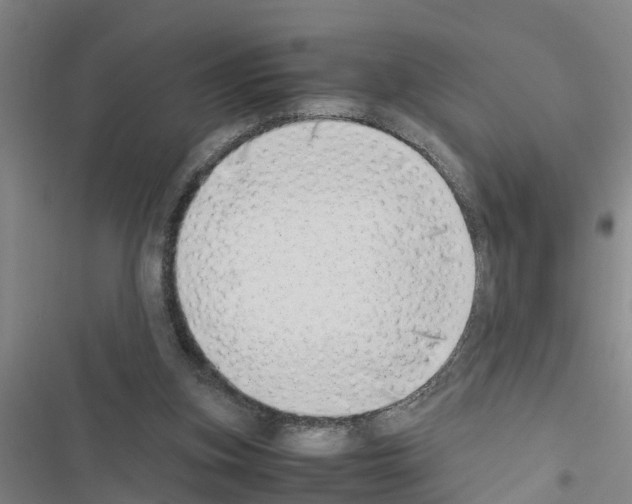 X0000116420155201001191457
