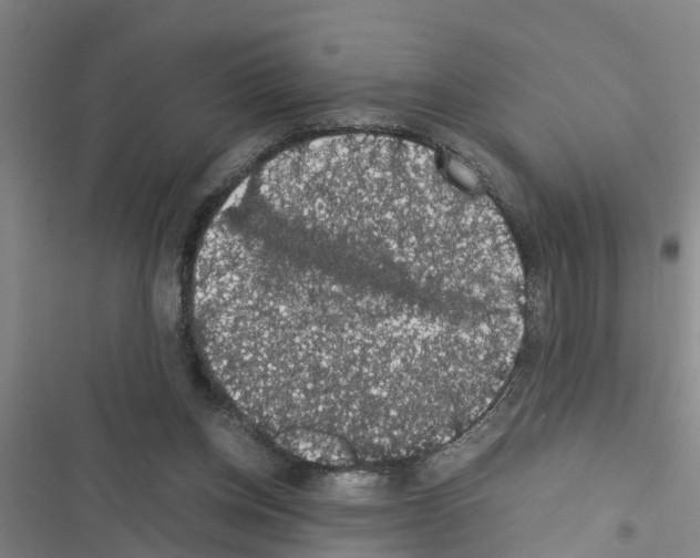 X0000116420158201001191457