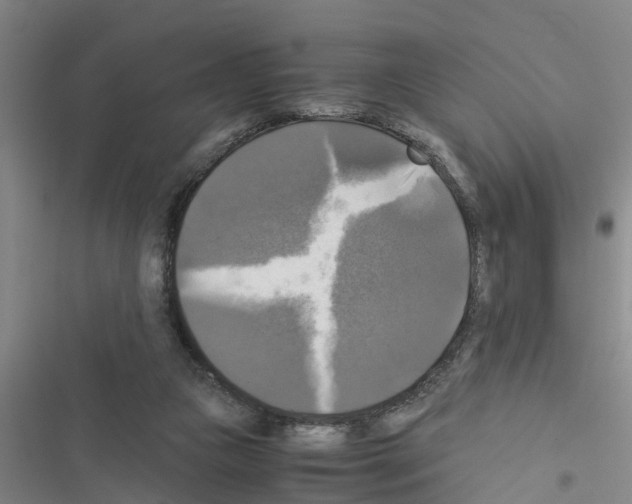 X0000116420161201001191457