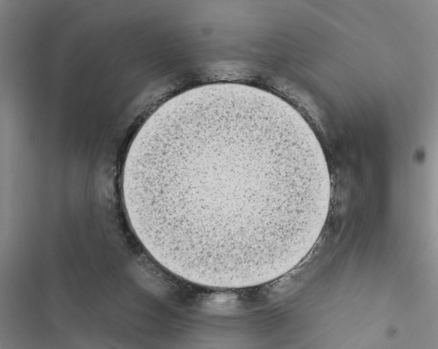 X0000116420162201001191457