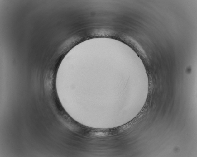 X0000116420163201001191457