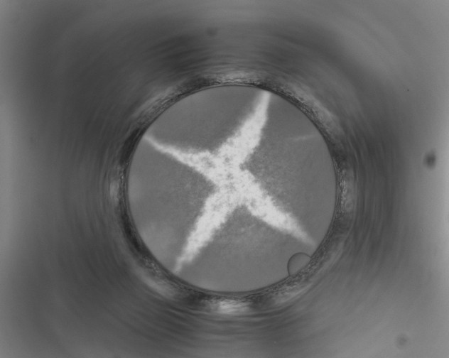 X0000116420165201001191457