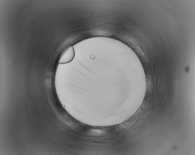 X0000116420167201001191457
